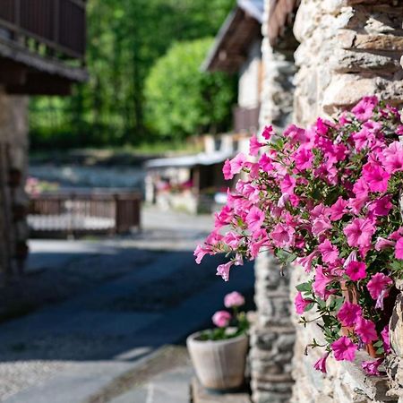 Il Sogno Della Vita Agriresort - Country Rooms & Suites Peveragno Ngoại thất bức ảnh